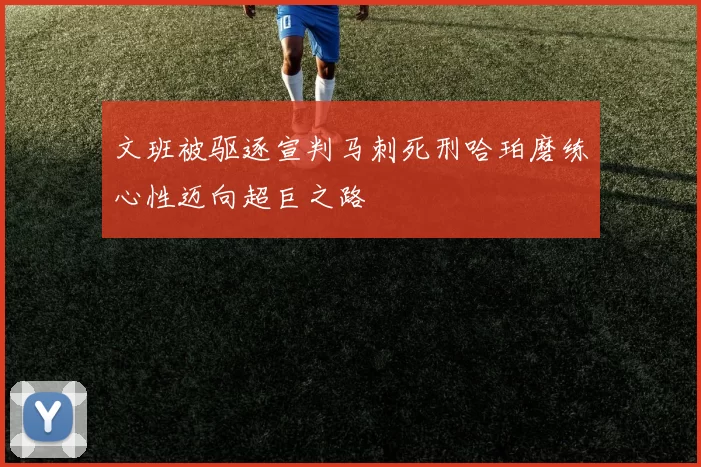 文班被驱逐宣判马刺死刑哈珀磨练心性迈向超巨之路